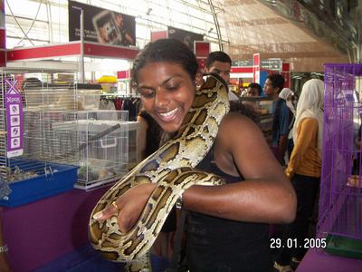 ay ay ay toi miss tu hypoteques ta vie d�